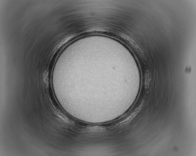 X0000097911113200804041455