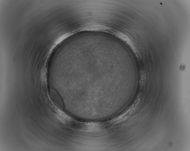 X0000097911114200804041455