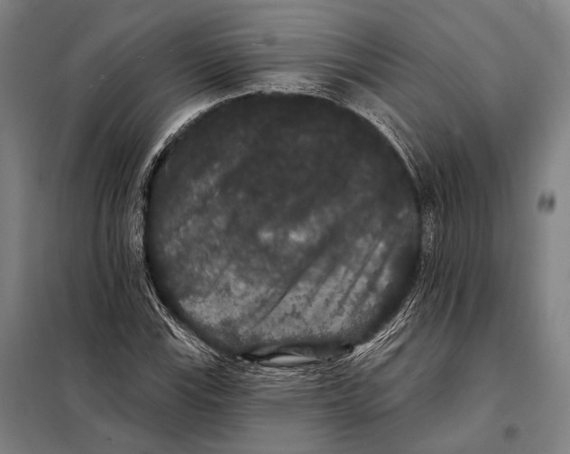 X0000097911115200804041455