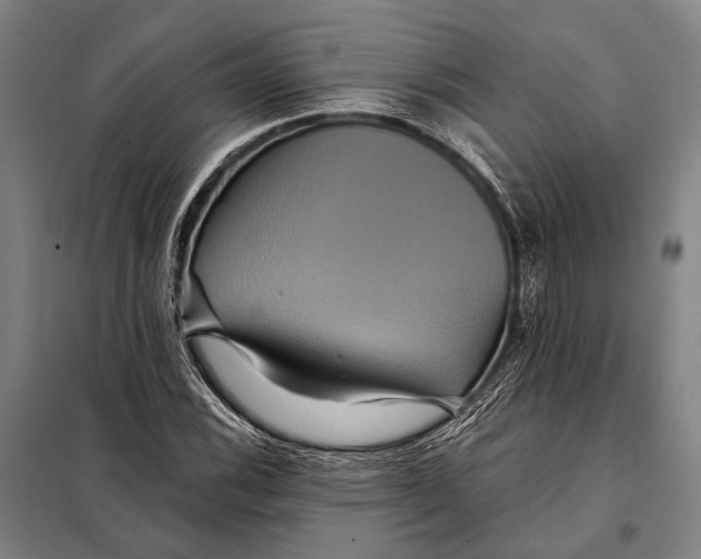 X0000097911116200804041455