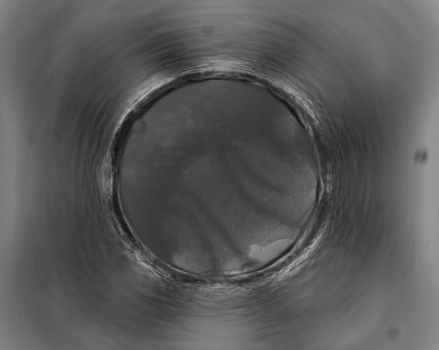 X0000097911117200804041455