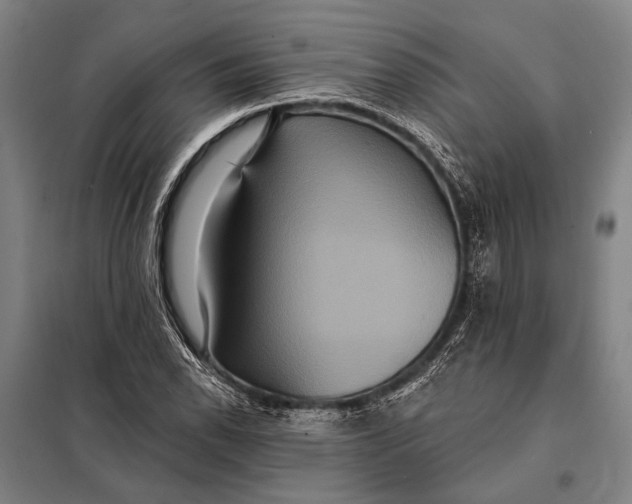 X0000097911118200804041455