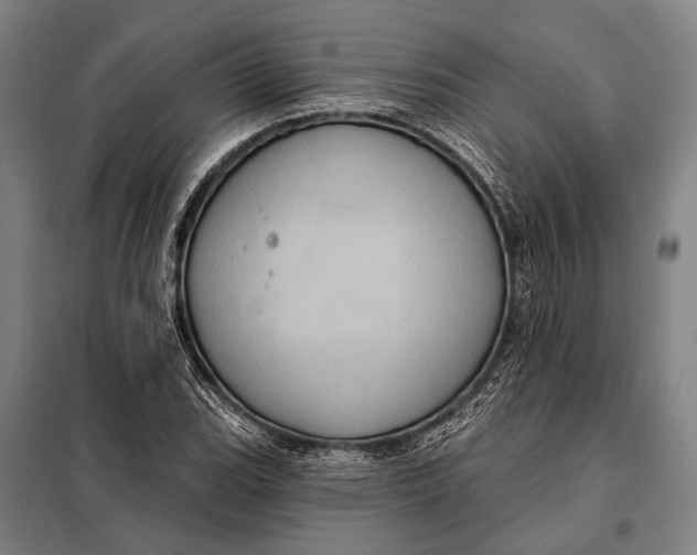 X0000097911119200804041455