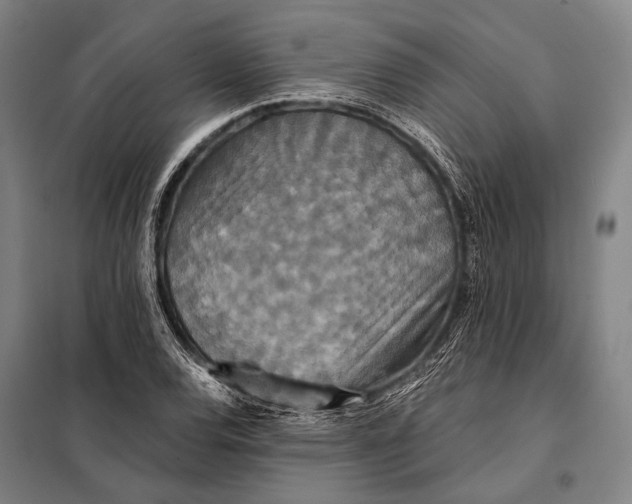 X0000097911120200804041455