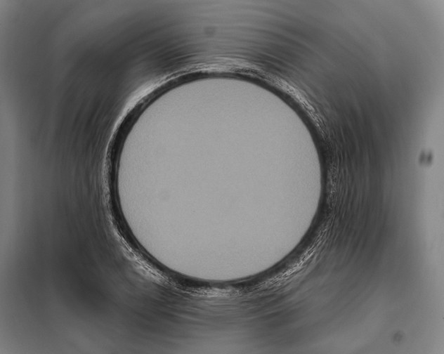 X0000097911122200804041455