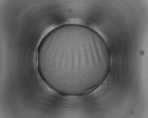 X0000097911123200804041455