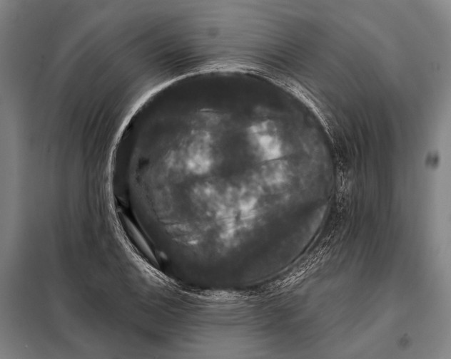 X0000097911124200804041455