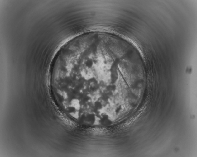 X0000097911125200804041455