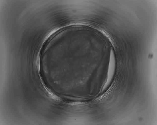 X0000097911127200804041455