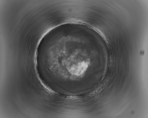 X0000097911128200804041455