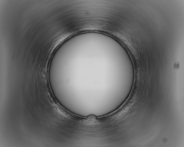 X0000097911129200804041455