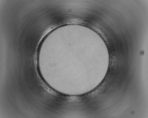 X0000097911130200804041455