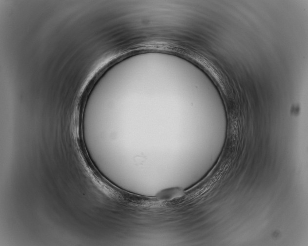 X0000097911131200804041455