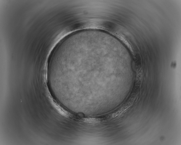 X0000097911132200804041455