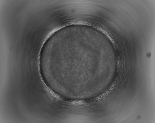 X0000097911133200804041455