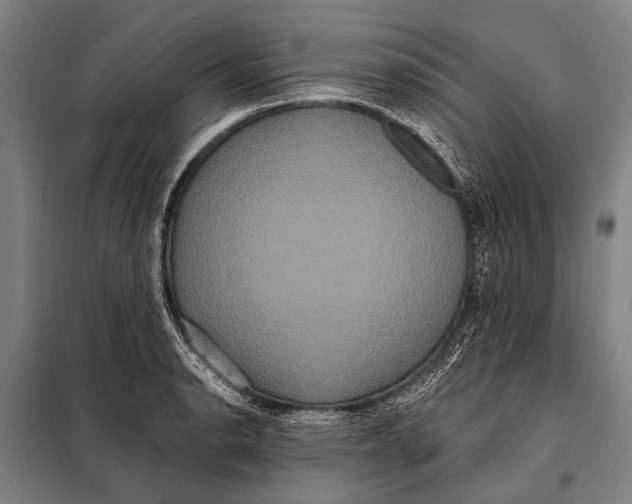 X0000097911134200804041455