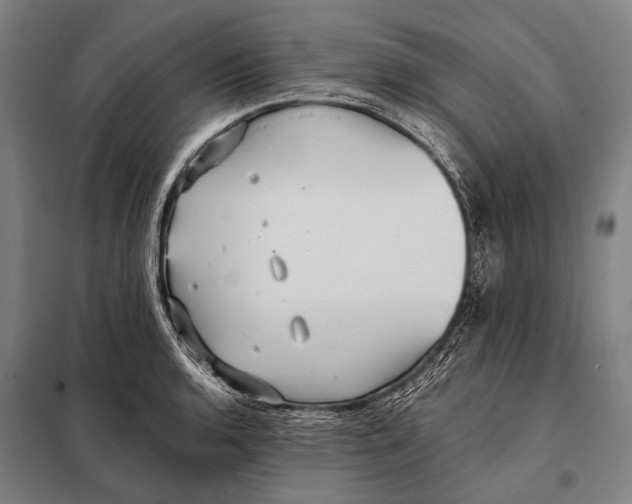 X0000097911136200804041455