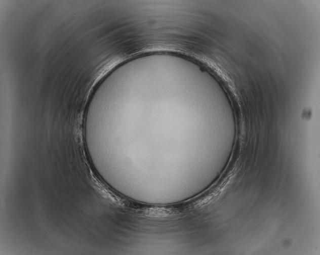 X0000097911137200804041455