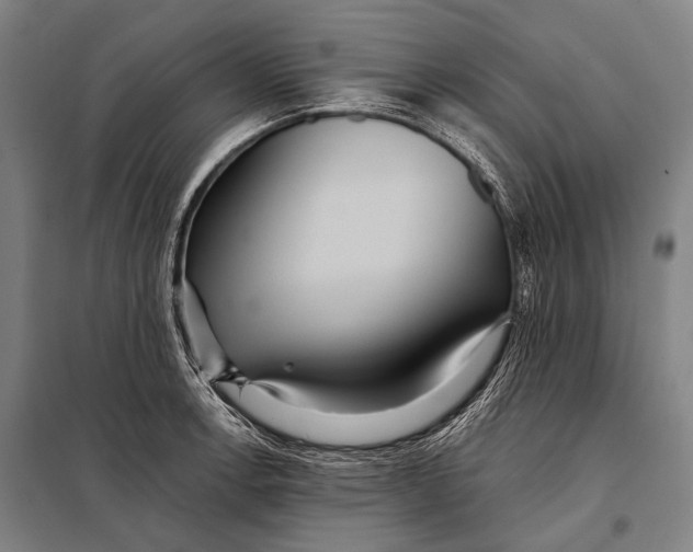 X0000097911138200804041455