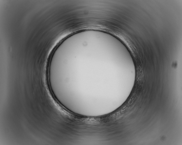 X0000097911139200804041455