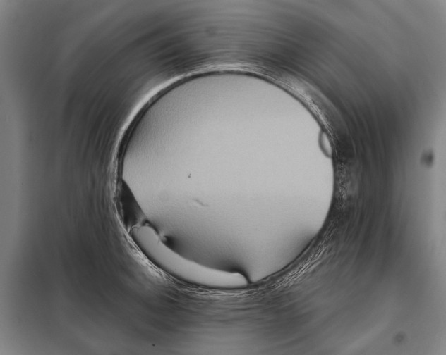 X0000097911140200804041455