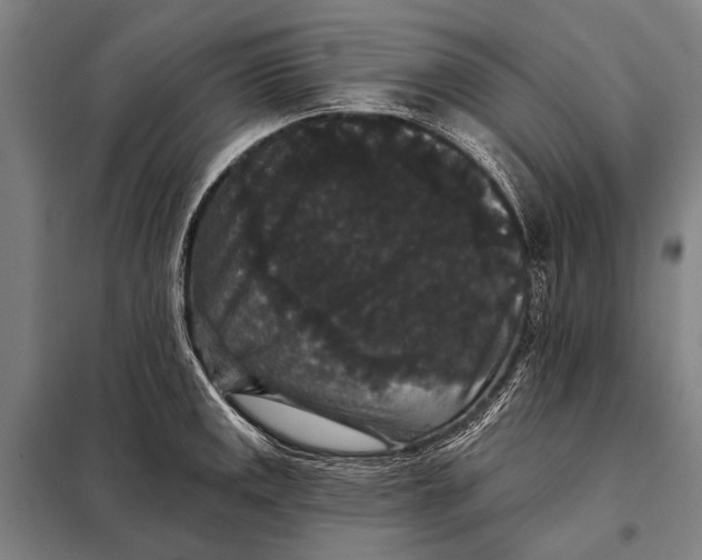 X0000097911141200804041455