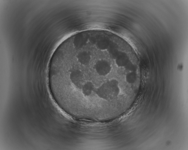 X0000097911142200804041455