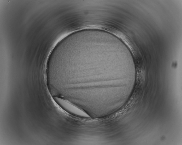 X0000097911143200804041455