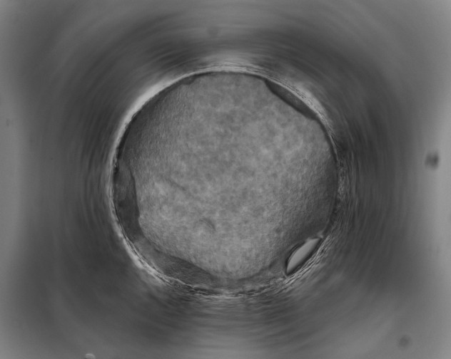 X0000097911144200804041455