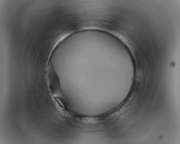 X0000097911145200804041455