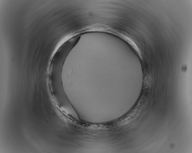 X0000097911146200804041455