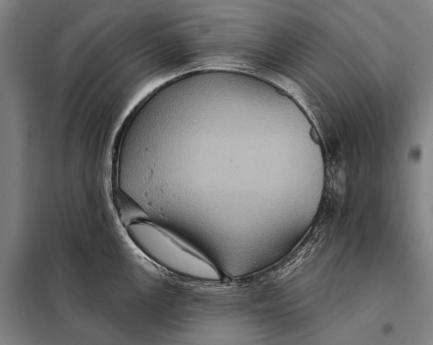 X0000097911147200804041455