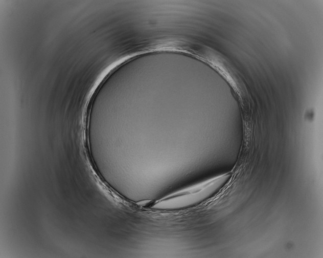 X0000097911148200804041455