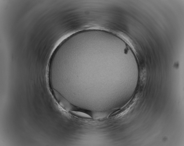 X0000097911149200804041455