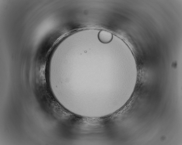 X0000097911150200804041455