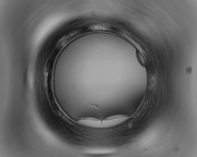 X0000097911151200804041455