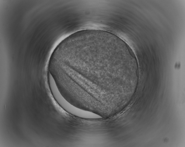 X0000097911152200804041455