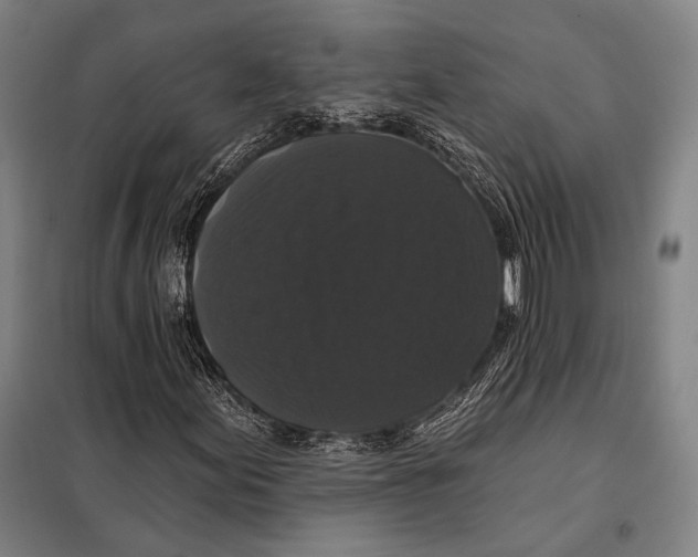 X0000097911155200804041454