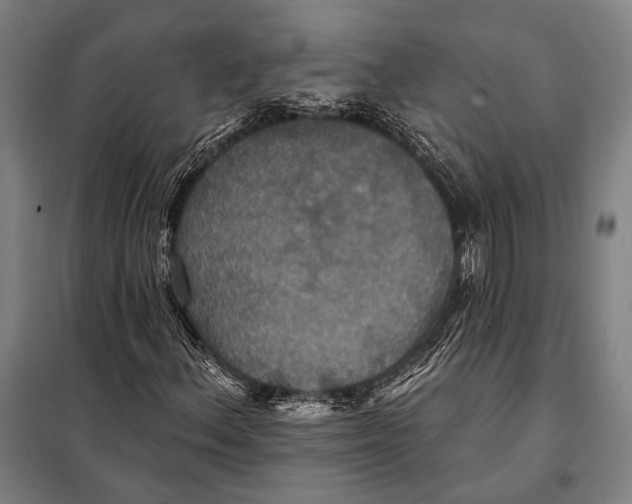 X0000097911156200804041454