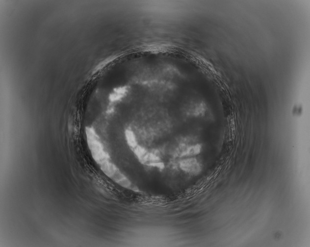 X0000097911158200804041454