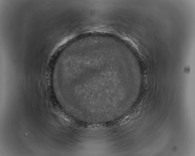 X0000097911159200804041454