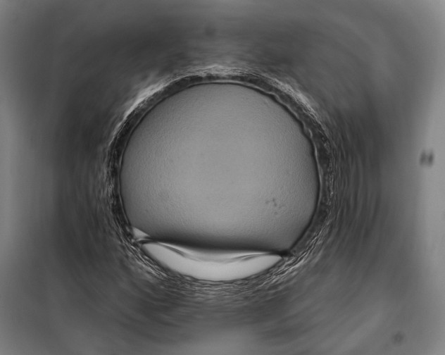 X0000097911160200804041454