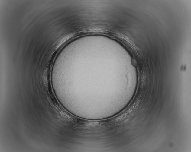 X0000097911162200804041454