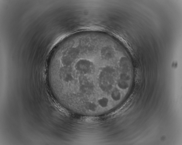 X0000097911163200804041454