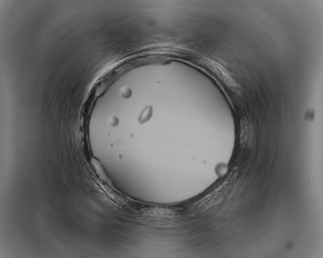 X0000097911164200804041454