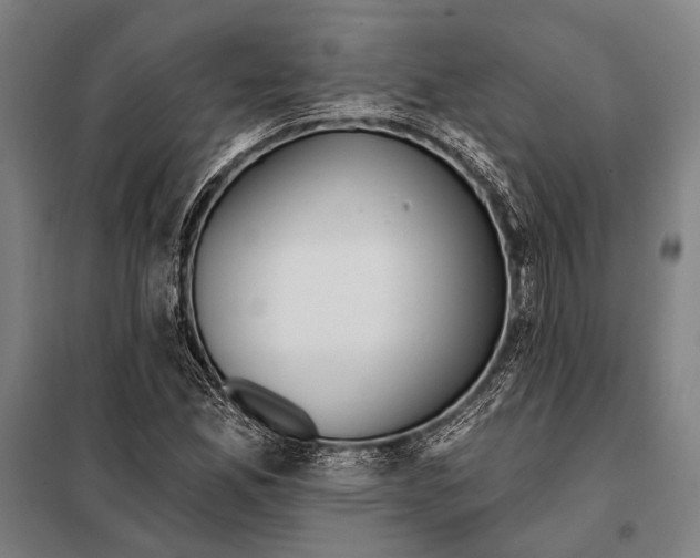 X0000097911165200804041454