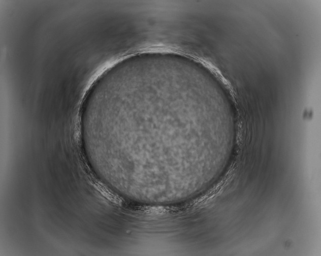 X0000097911167200804041454