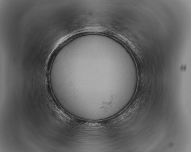 X0000097911168200804041454