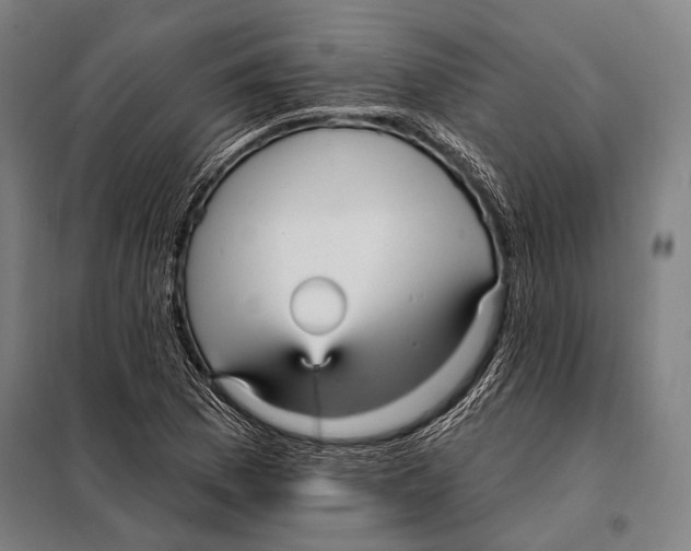 X0000097911169200804041454