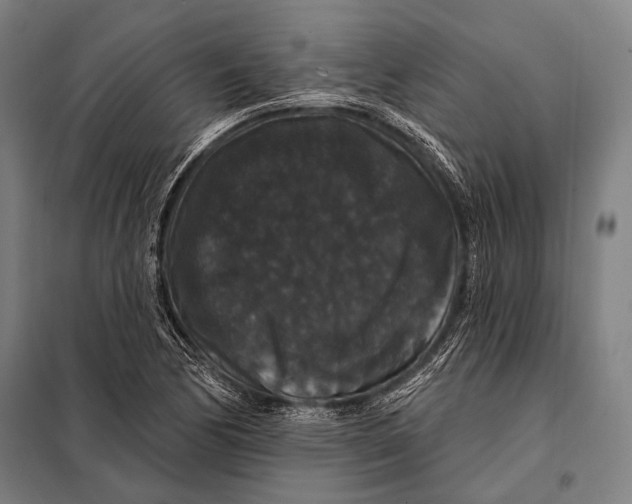 X0000097911170200804041454